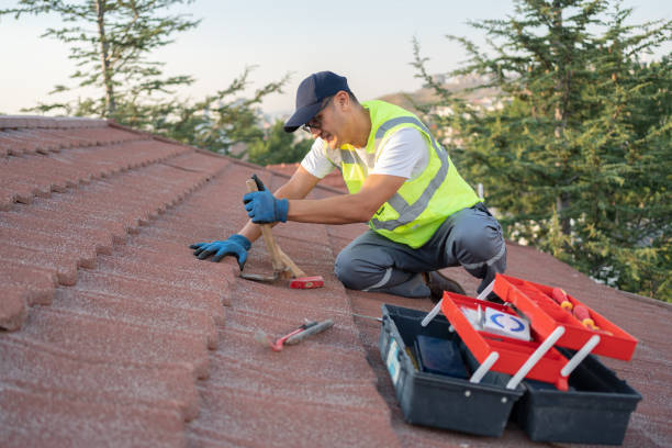 Roof Gutter Cleaning in Creston, OH